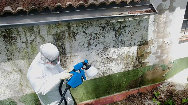 Top rated local Mold Cleanup specialists in Mount Holly Springs, PA
